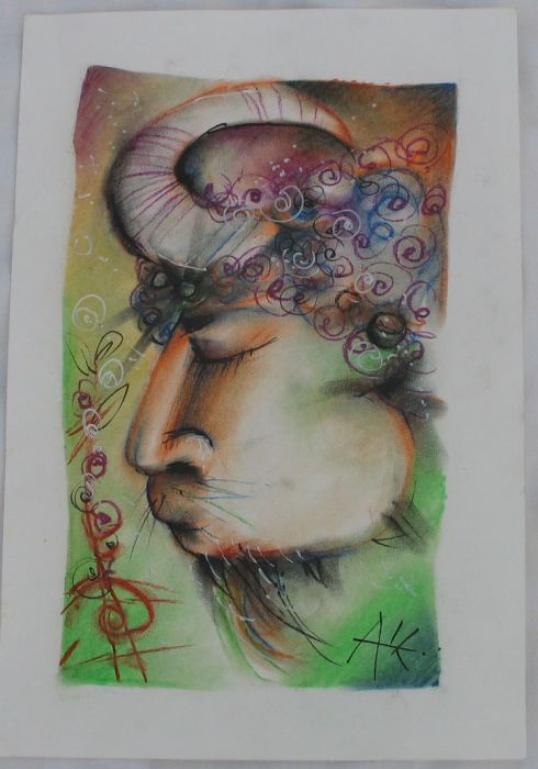 El genio Galeria Laminas 